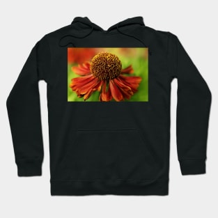 Sneeze Weed II Hoodie